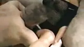 Cutie maman me montre son sexe a léché ses lèvres avec sa langue et a séduit cette autre bite