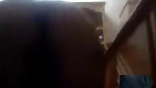 Une fille excitée enfonce une bite dans la video x mere fils bouche de sa copine